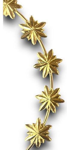 Aureola 12 Estrellas 10cm Chapa De Oro